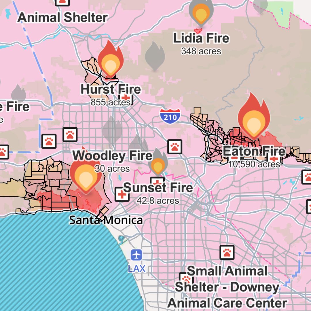 Los Angeles, Fires, Palisades, Pacific Palisades, Pasadena, Wildfire, wildfires, fires, Climate change, disaster, Professional Beauty Association, Relief, The Tease, Southern California